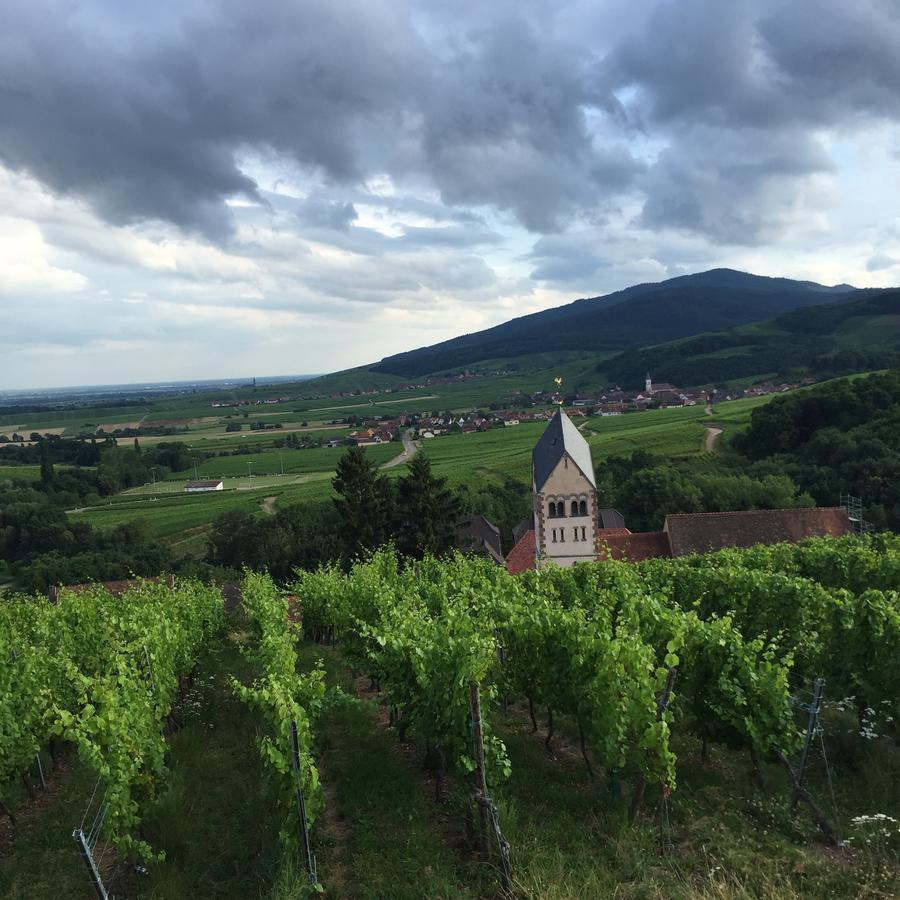 Gite Fleur De Vignes Itterswiller Exterior photo