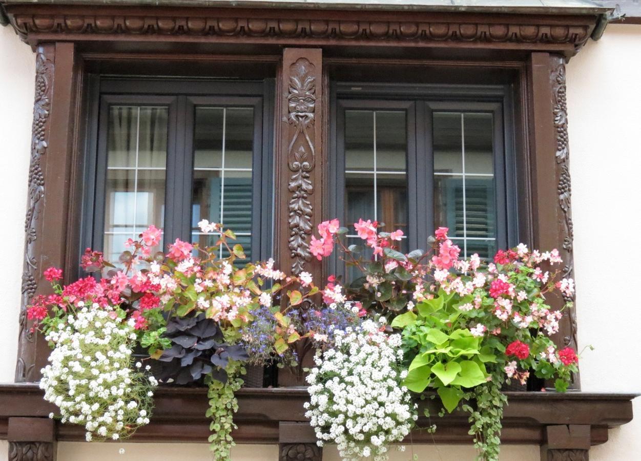 Gite Fleur De Vignes Itterswiller Exterior photo