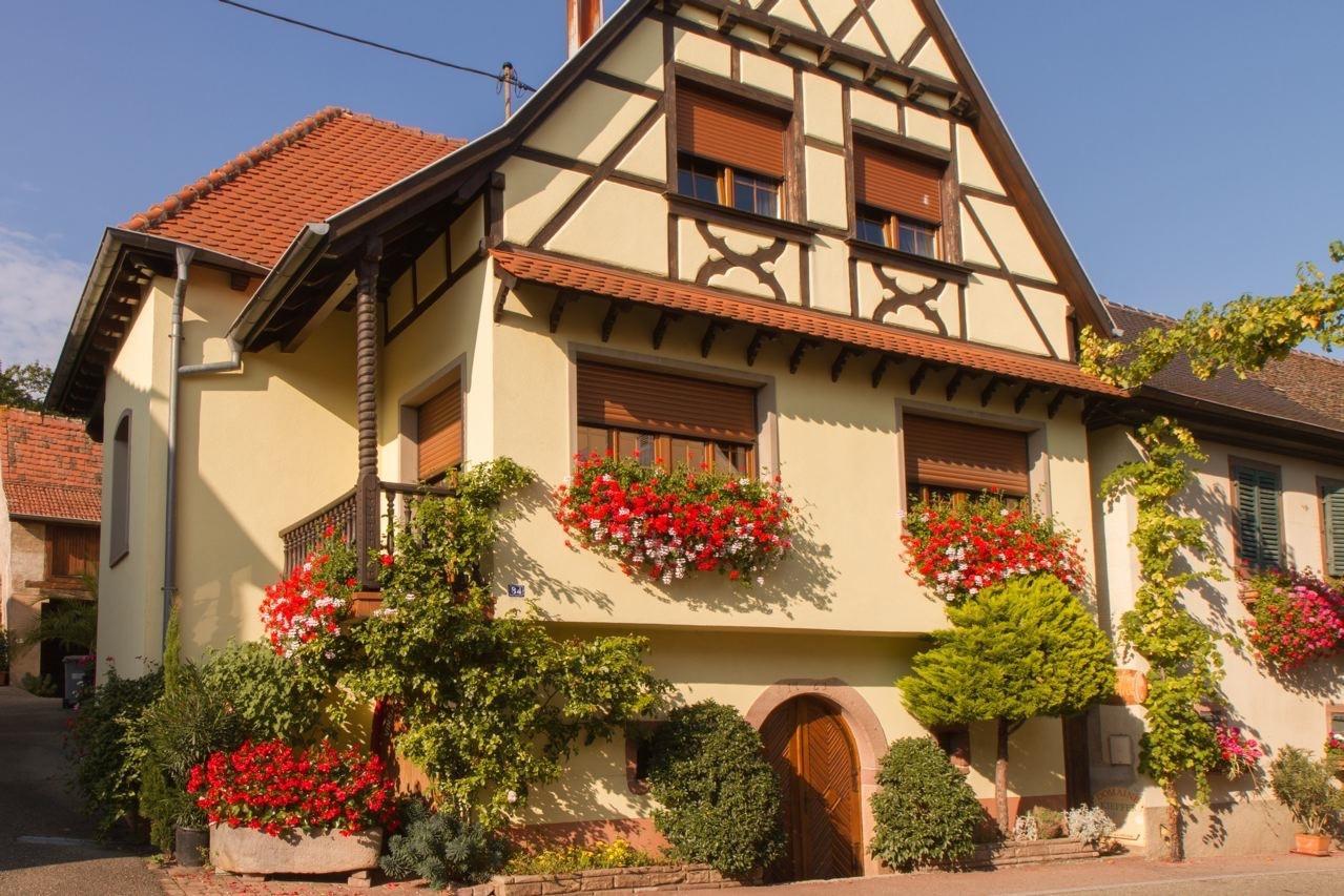Gite Fleur De Vignes Itterswiller Exterior photo
